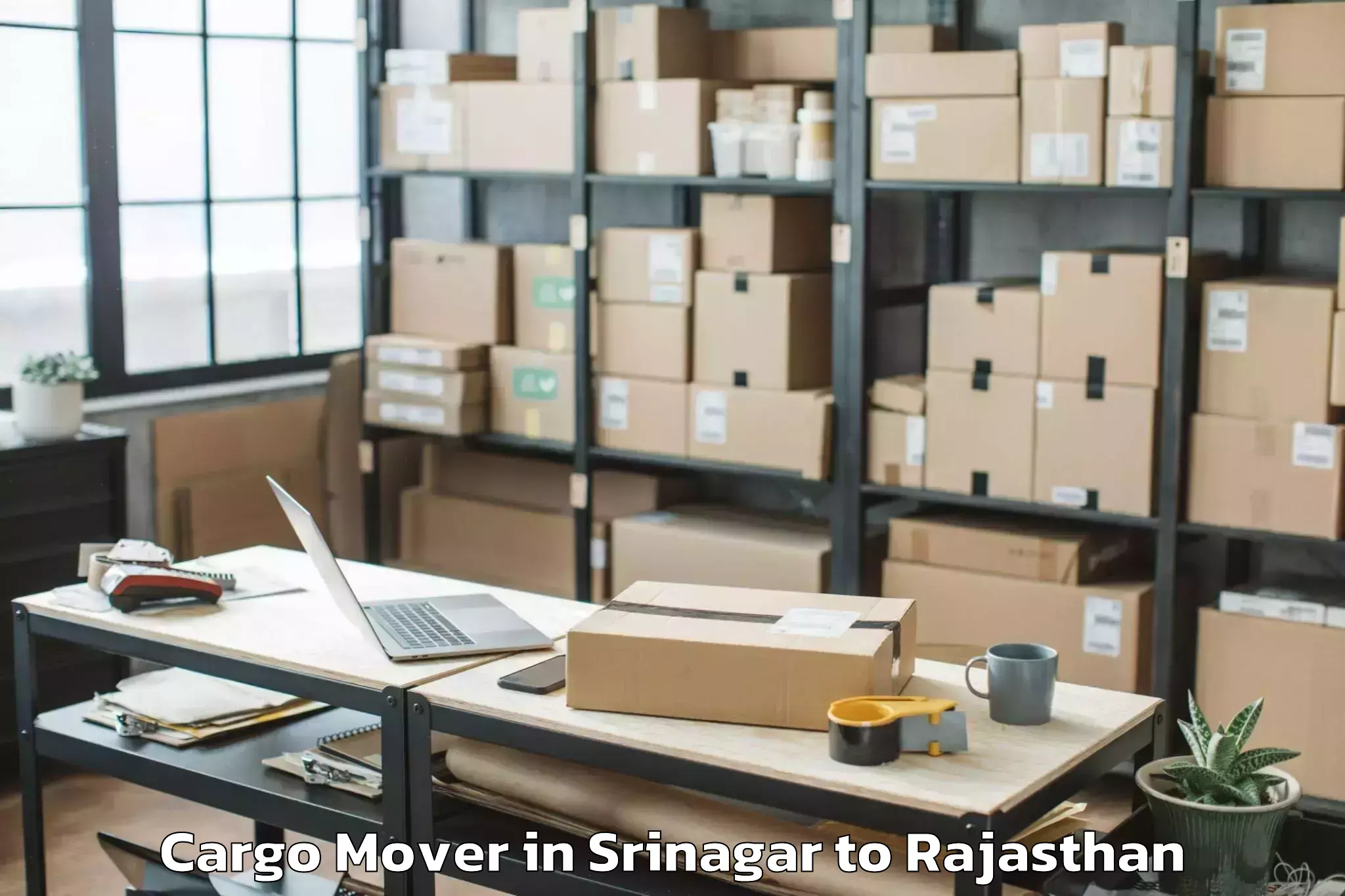 Professional Srinagar to Kishangarh Bas Cargo Mover